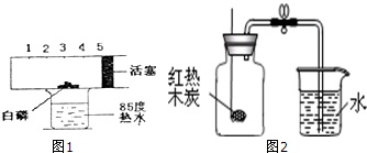 电大作业网
