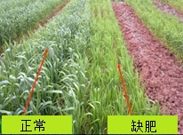 电大作业网