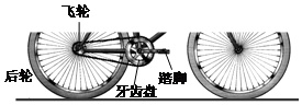 电大作业网