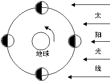电大作业网