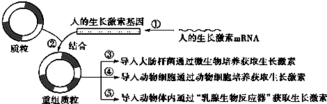 电大作业网