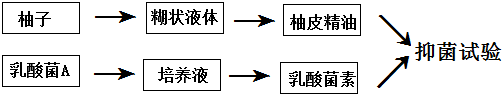 电大作业网