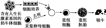 电大作业网