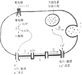 电大作业网