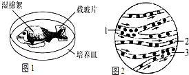 电大作业网