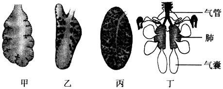电大作业网