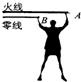 电大作业网