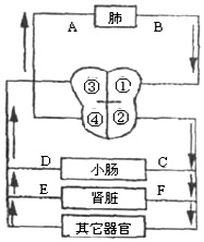 电大作业网