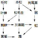 电大作业网