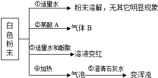 电大作业网