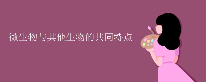 微生物与其他生物的共同特点
