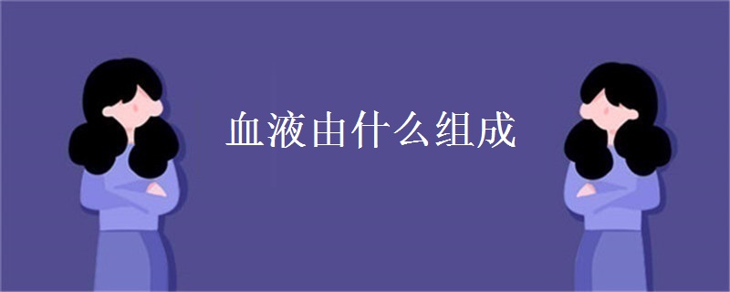 血液由什么组成 血液由什么组成