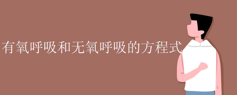有氧呼吸和无氧呼吸的方程式