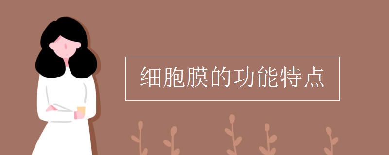 细胞膜的功能特点 细胞膜的功能特点