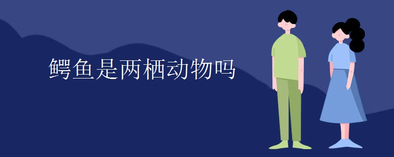 鳄鱼是两栖动物吗