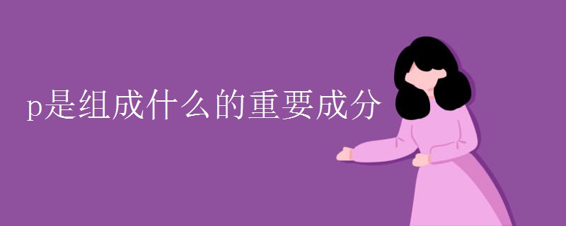 p是组成什么的重要成分