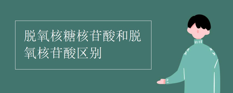 脱氧核糖核苷酸和脱氧核苷酸区别