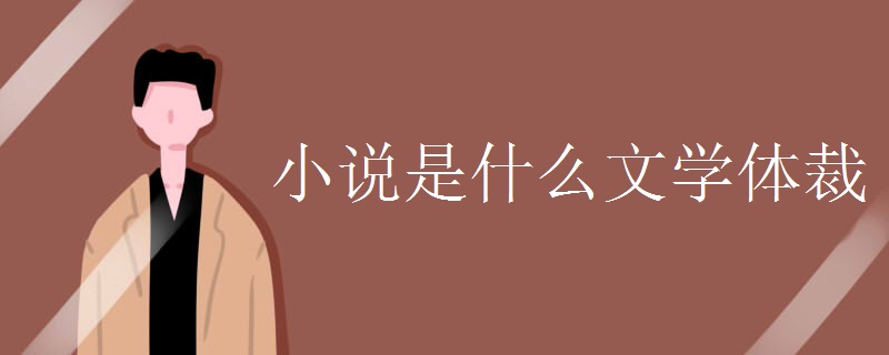 小说是什么文学体裁