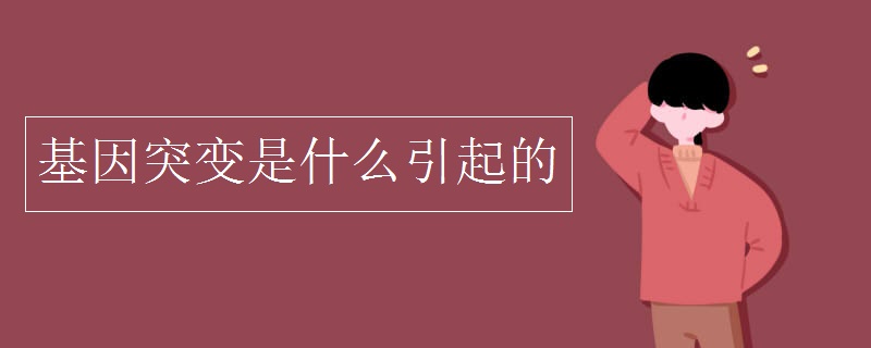 基因突变是什么引起的