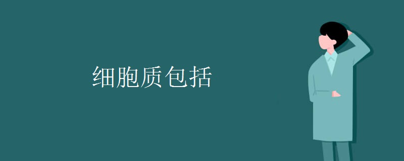 细胞质包括
