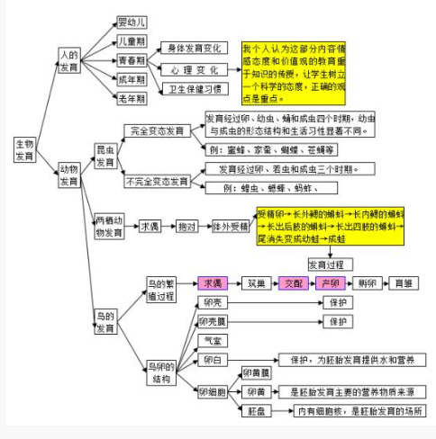 2020中考生物必考知识点