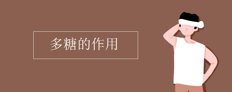 多糖的作用
