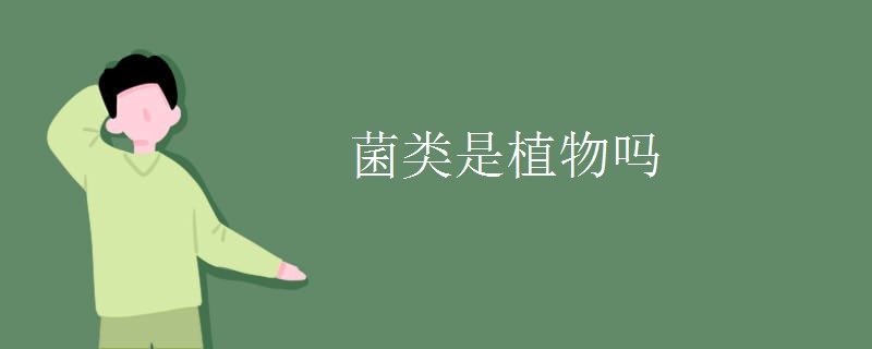菌类是植物吗