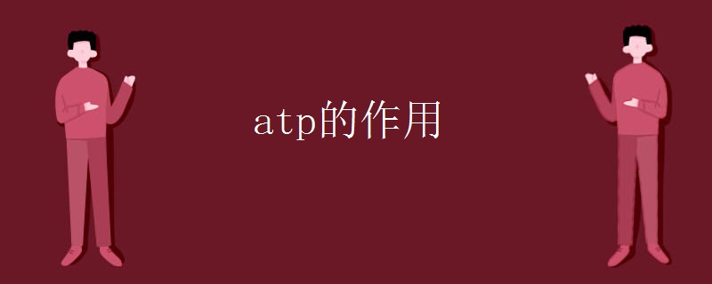 atp的作用