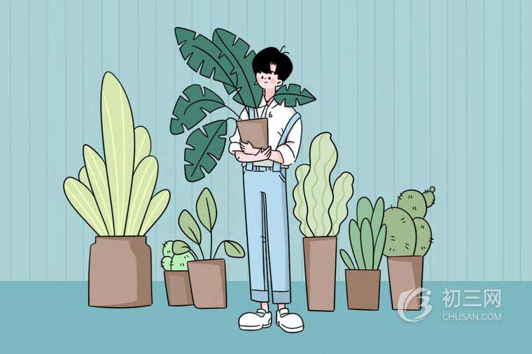 梯形的面积公式是什么