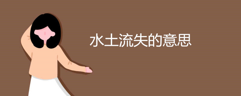 水土流失的意思