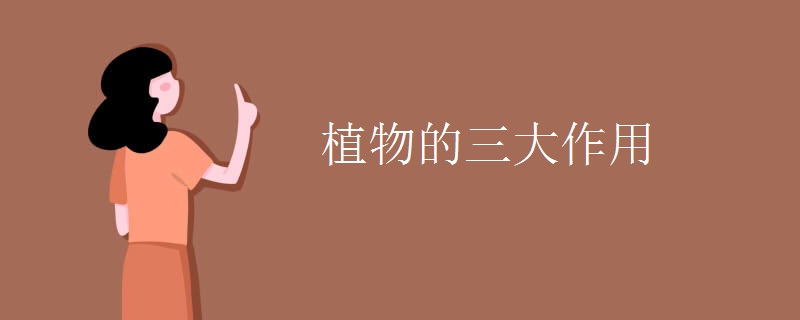 植物的三大作用