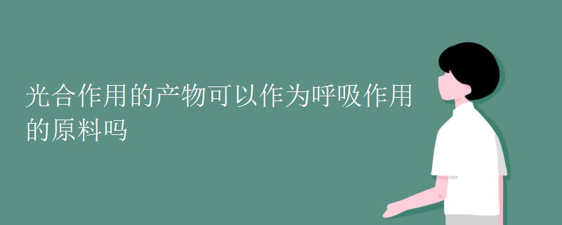 光合作用的产物可以作为呼吸作用的原料吗