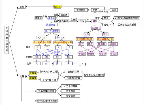 2020中考生物必考知识点