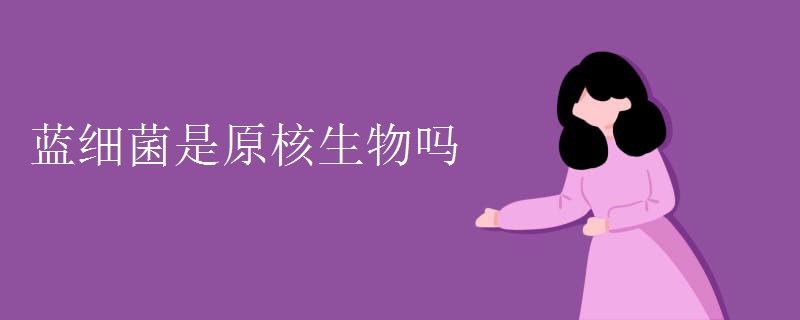 蓝细菌是原核生物吗