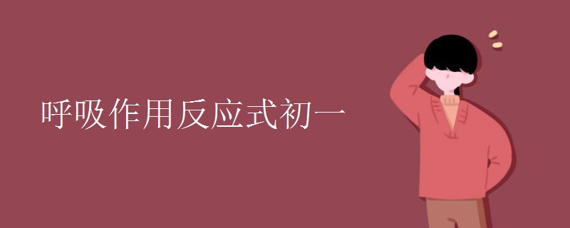 呼吸作用反应式初一