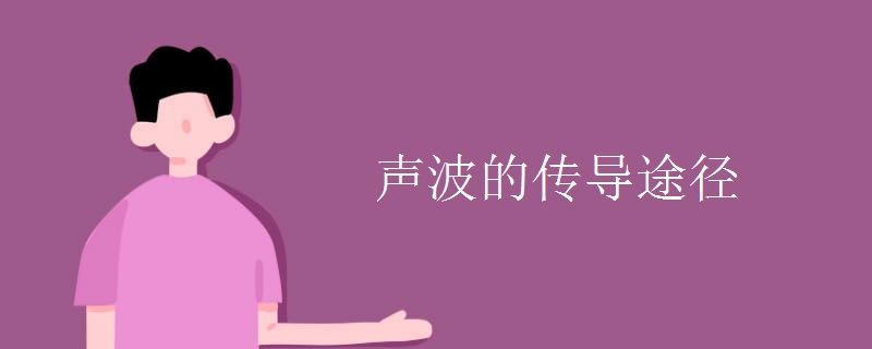 声波的传导途径