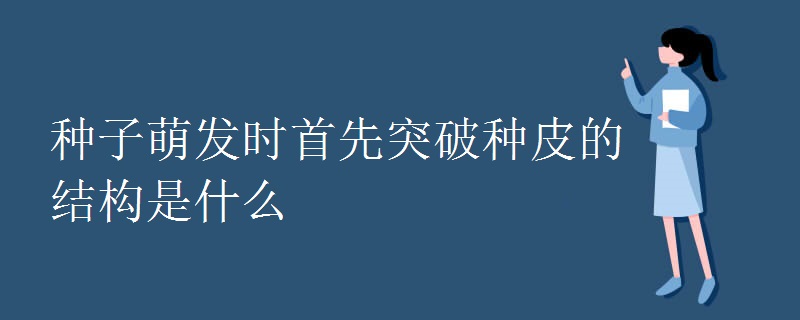 种子萌发时首先突破种皮的结构是什么