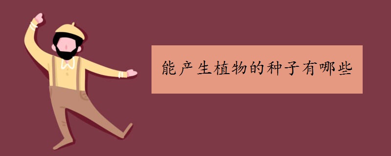 能产生植物的种子有哪些