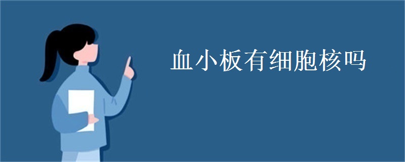 血小板有细胞核吗