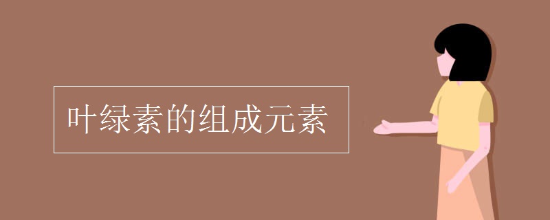 叶绿素的组成元素