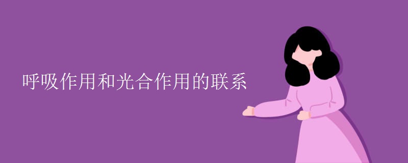 呼吸作用和光合作用的联系