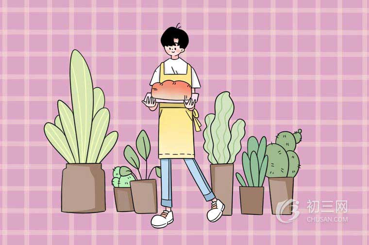 根号的四则运算公式是什么 根号的四则运算公式是什么