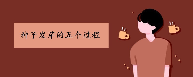 种子发芽五个过程 种子发芽五个过程