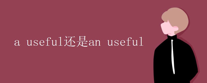 a useful还是an useful