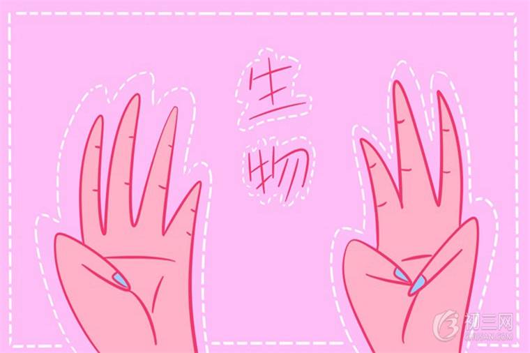 有机物和无机物有什么区别