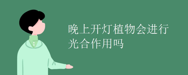 晚上开灯植物会进行光合作用吗