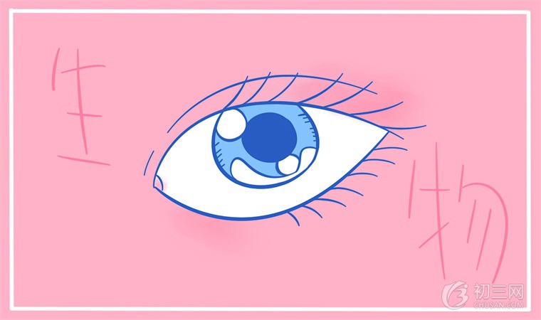 初中生物学习方法 怎么学才能打高分