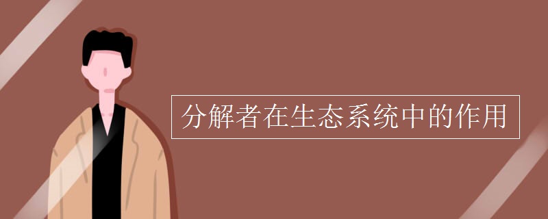 分解者在生态系统中的作用