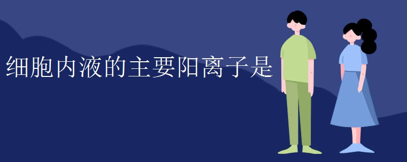 细胞内液的主要阳离子是