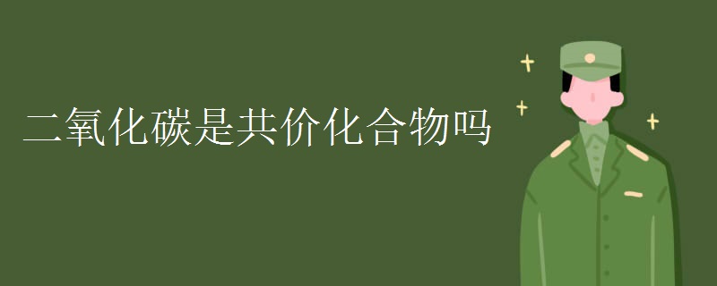 二氧化碳是共价化合物吗